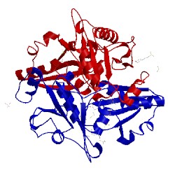 Image of CATH 2dxv