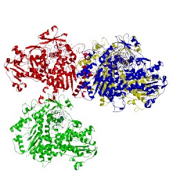 Image of CATH 2dy4