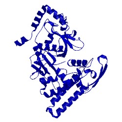 Image of CATH 2dzz