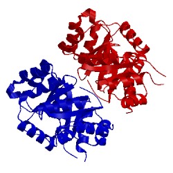 Image of CATH 2e09