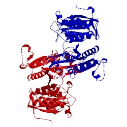 Image of CATH 2e0c