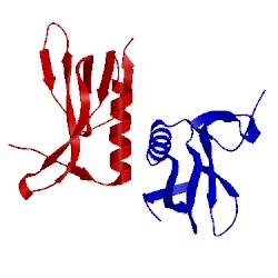 Image of CATH 2e12