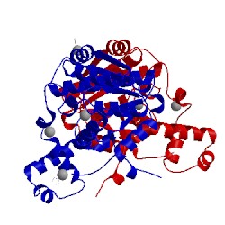 Image of CATH 2e18
