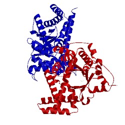 Image of CATH 2e1d