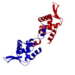 Image of CATH 2e1n
