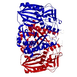 Image of CATH 2e1v