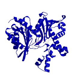 Image of CATH 2e1z