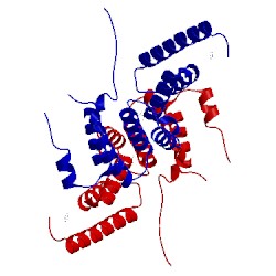 Image of CATH 2e2e