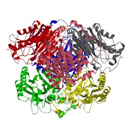 Image of CATH 2e2k