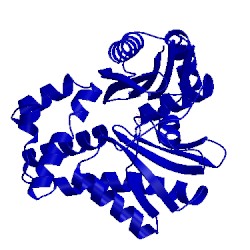 Image of CATH 2e2o