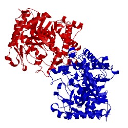 Image of CATH 2e40