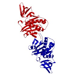 Image of CATH 2e41