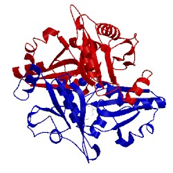 Image of CATH 2e4n