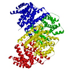 Image of CATH 2e4o