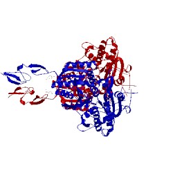 Image of CATH 2e4u