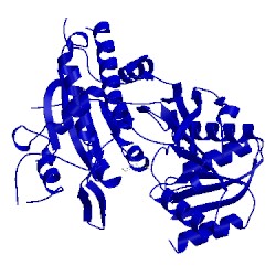 Image of CATH 2e4z