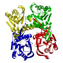 Image of CATH 2e55