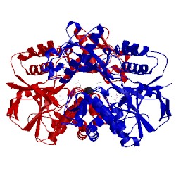 Image of CATH 2e5v