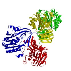 Image of CATH 2e5w
