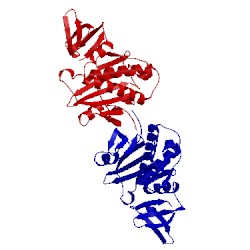 Image of CATH 2e65