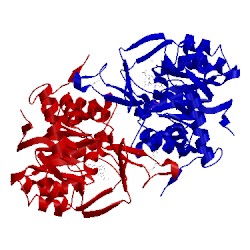 Image of CATH 2e6a