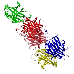 Image of CATH 2e6v