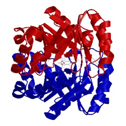 Image of CATH 2e6y