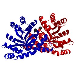 Image of CATH 2e7f