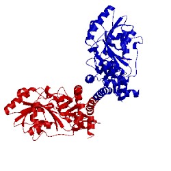 Image of CATH 2e7i