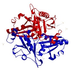 Image of CATH 2e7r