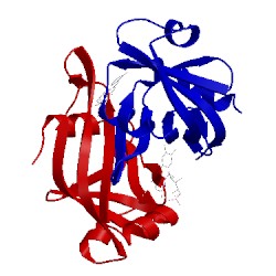 Image of CATH 2e83