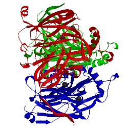 Image of CATH 2e86