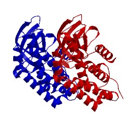 Image of CATH 2e8g