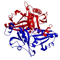 Image of CATH 2e8r