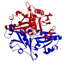 Image of CATH 2e8s