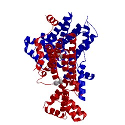 Image of CATH 2e91