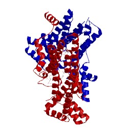 Image of CATH 2e93