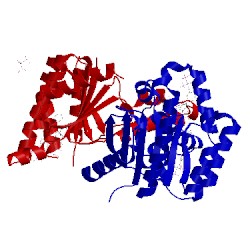 Image of CATH 2e98