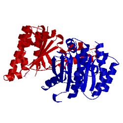 Image of CATH 2e9a