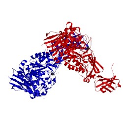 Image of CATH 2e9b
