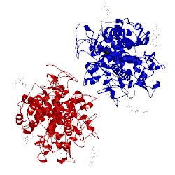 Image of CATH 2e9e