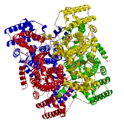 Image of CATH 2e9f