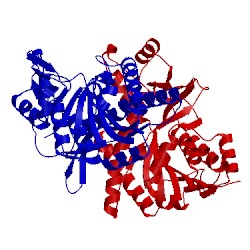 Image of CATH 2e9y