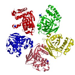 Image of CATH 2eb4