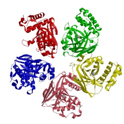 Image of CATH 2eb5