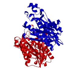 Image of CATH 2ebd