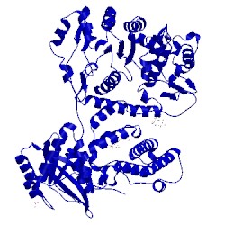 Image of CATH 2ebf