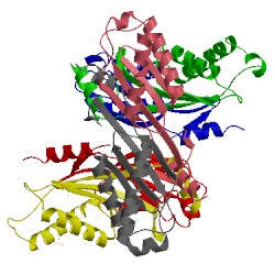 Image of CATH 2ec2