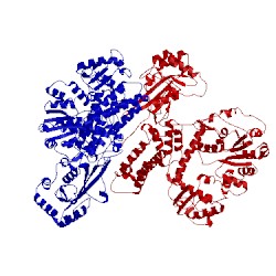 Image of CATH 2ec5