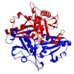 Image of CATH 2ed3